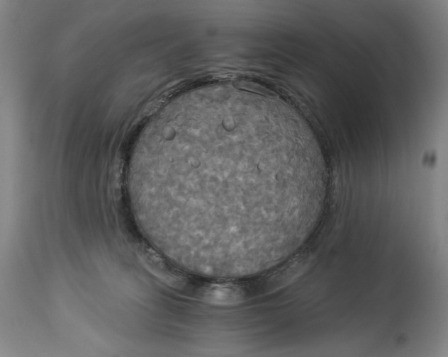 X0000114540275200911091140