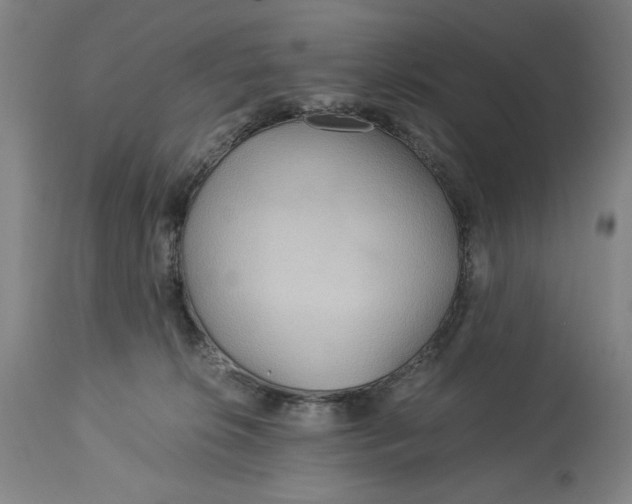 X0000114540276200911091140