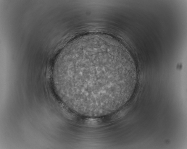 X0000114540277200911091140