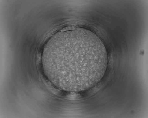 X0000114540278200911091140