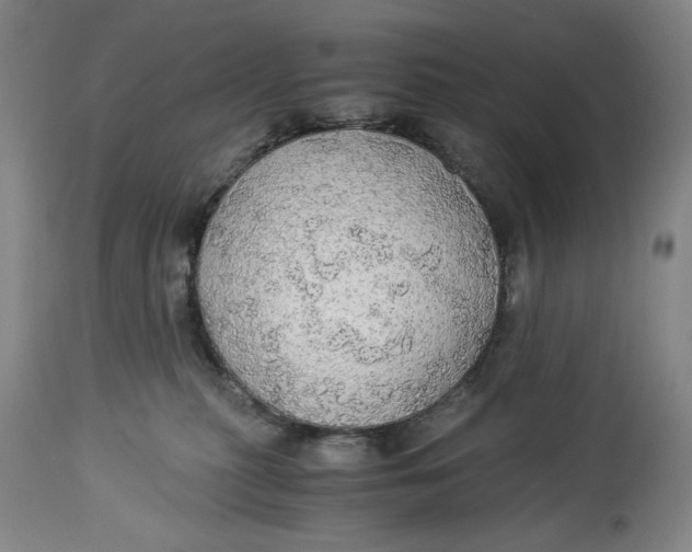 X0000114540279200911091140