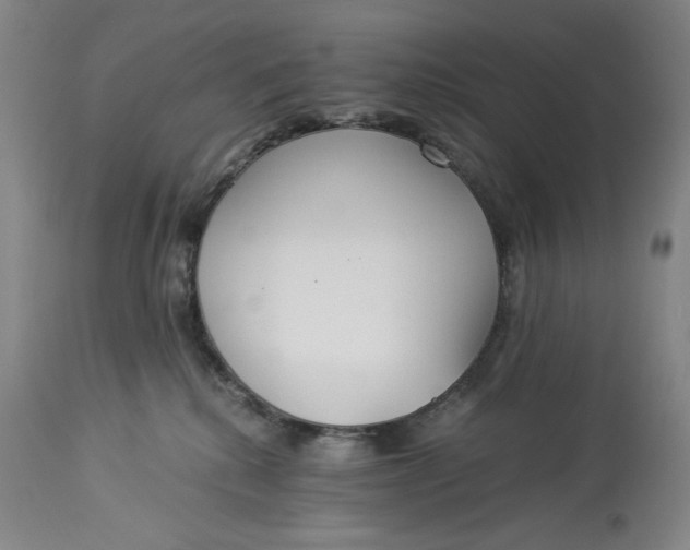 X0000114540280200911091140