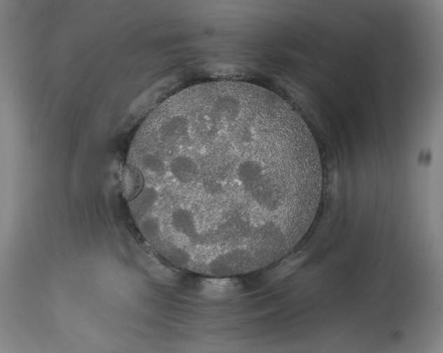 X0000114540281200911091140