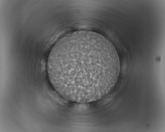 X0000114540282200911091140