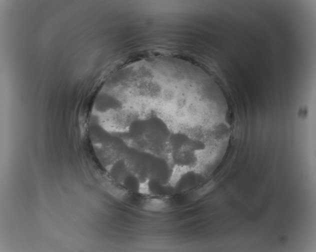 X0000114540285200911091140