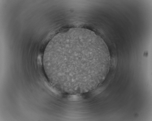 X0000114540286200911091140