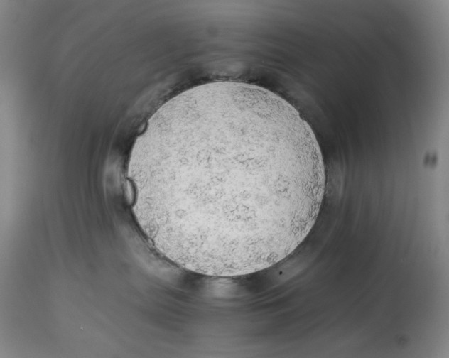 X0000114540287200911091140