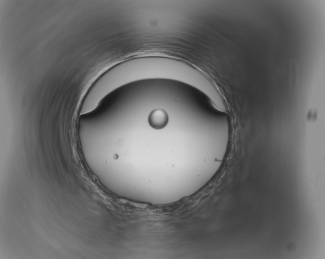 X0000114540289200911091139