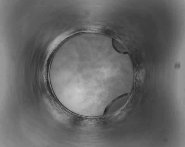 X0000114540294200911091139