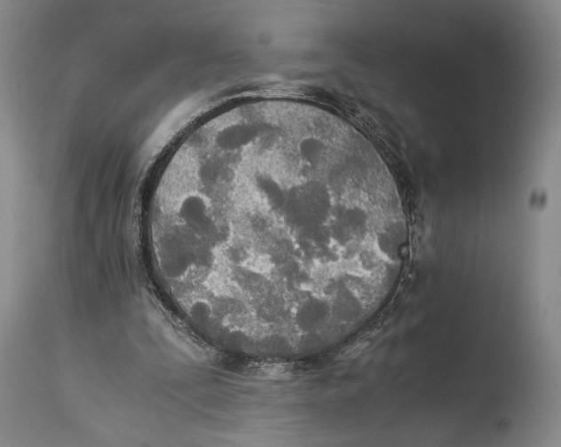 X0000114540295200911091139