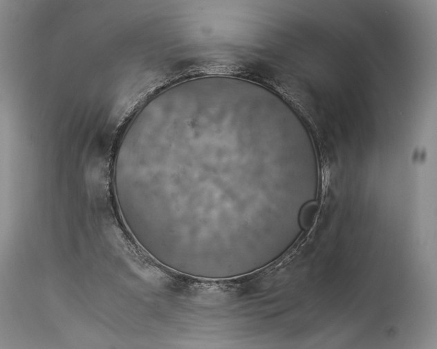 X0000114540297200911091139