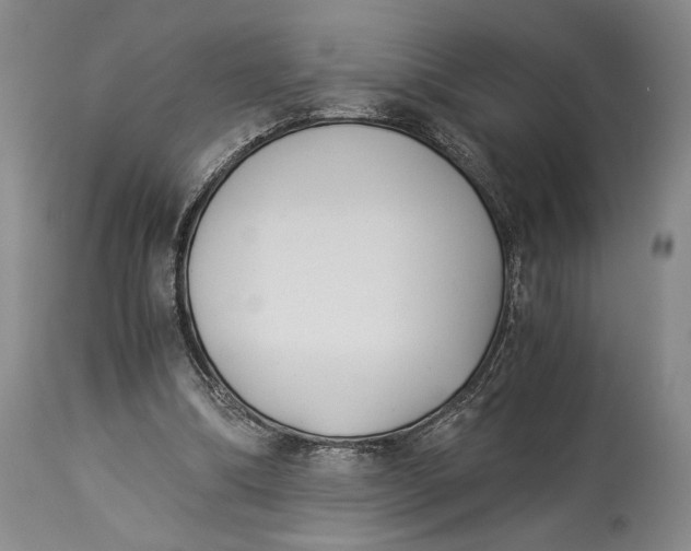 X0000114540298200911091139