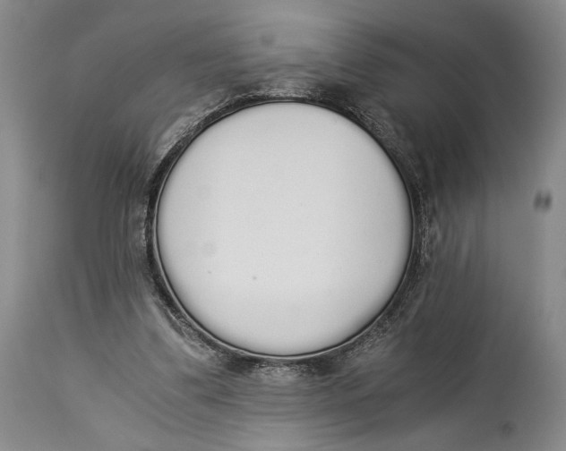 X0000114540299200911091139