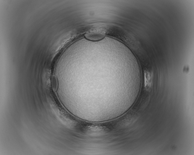 X0000114540300200911091139