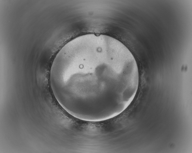 X0000114540305200911091139