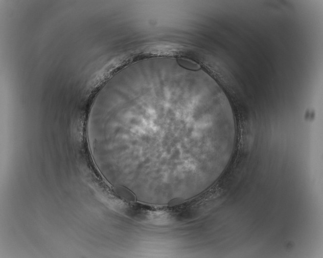 X0000114540309200911091139