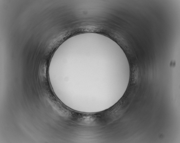 X0000114540310200911091139