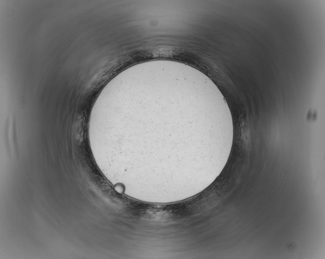 X0000114540311200911091139