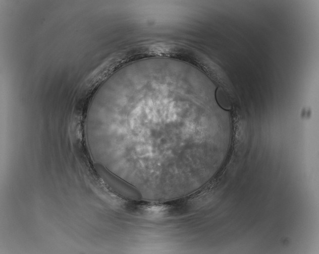 X0000114540313200911091139