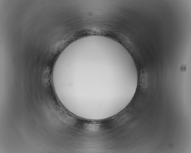 X0000114540318200911091139