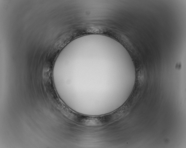 X0000114540322200911091139