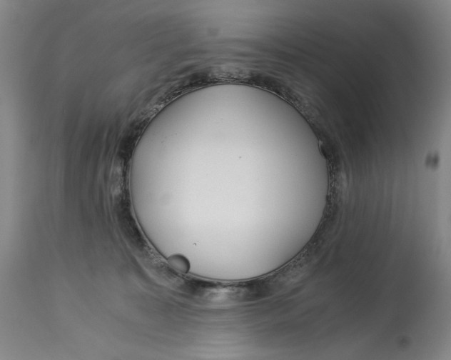 X0000114540323200911091139