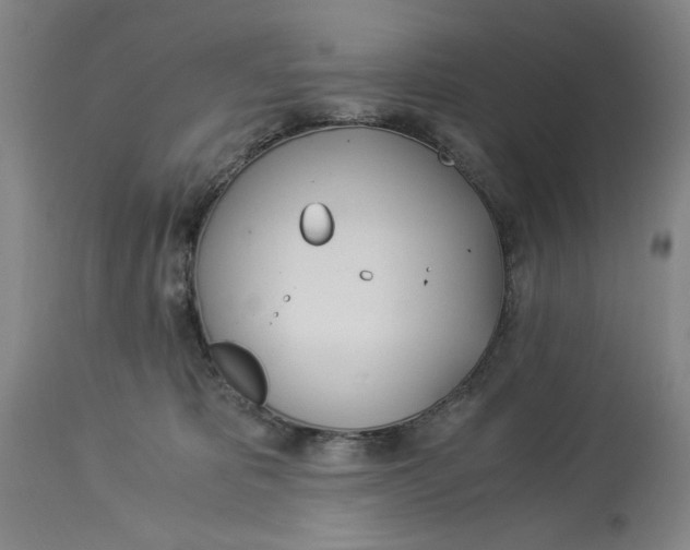 X0000114540325200911091139