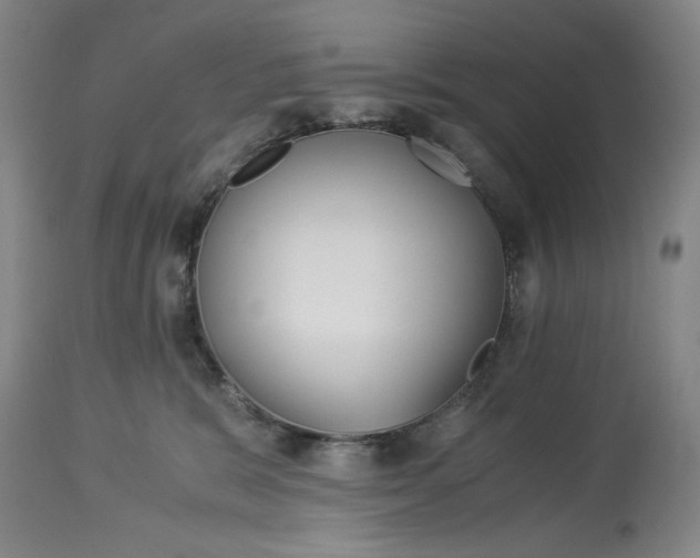 X0000114540327200911091139