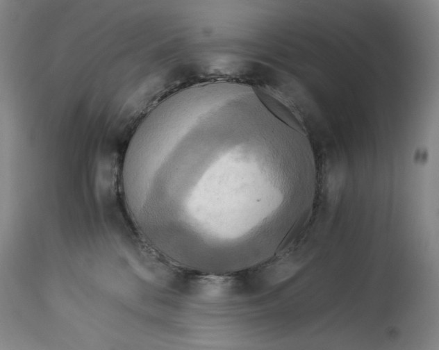 X0000114540328200911091139