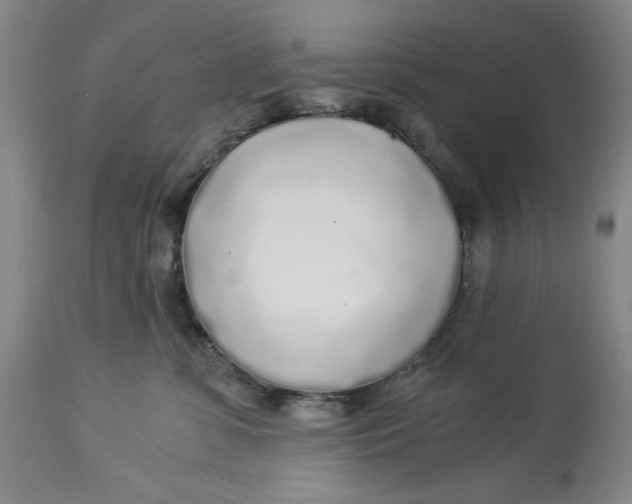 X0000114540331200911091139