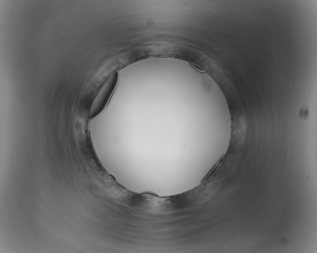 X0000114540333200911091139