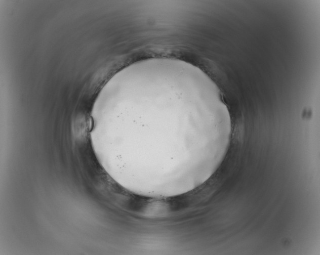 X0000114540335200911091139