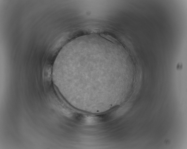 X0000114540336200911091139