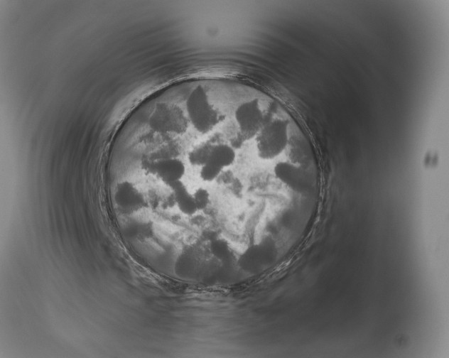 X0000114540337200911091138