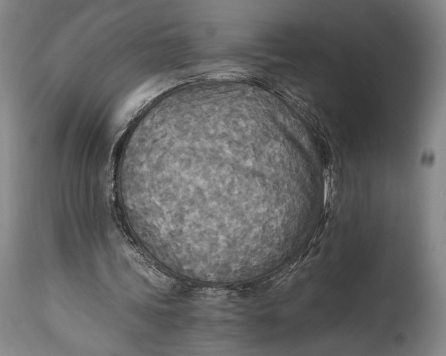 X0000114540339200911091138