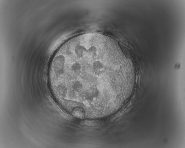 X0000114540341200911091138