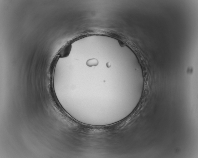 X0000114540342200911091138