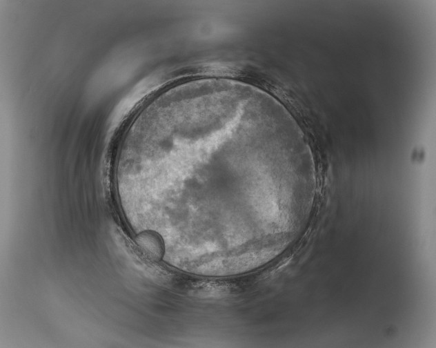 X0000114540343200911091138