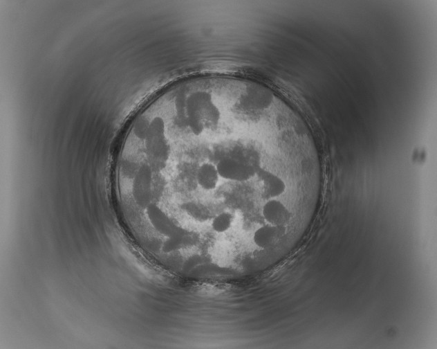 X0000114540346200911091138