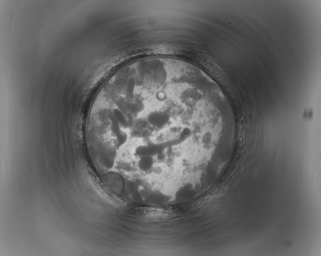 X0000114540347200911091138