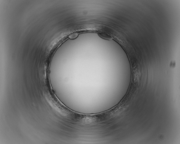 X0000114540350200911091138