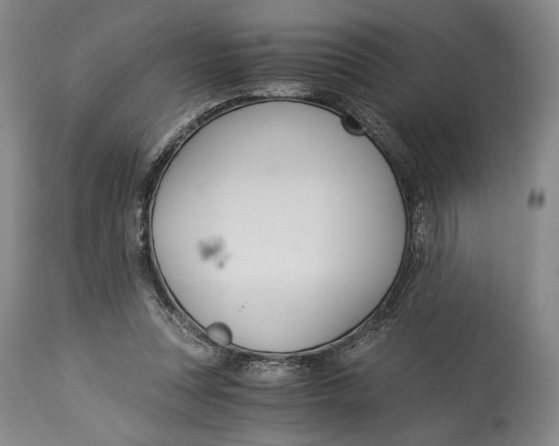 X0000114540351200911091138