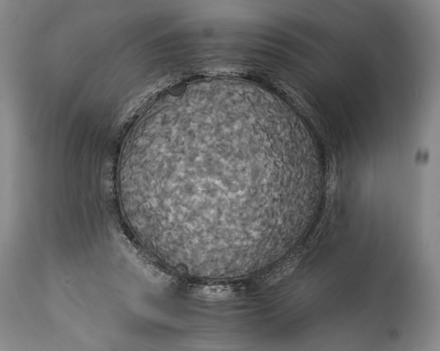 X0000114540353200911091138