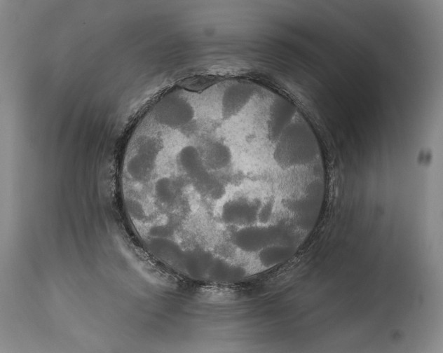 X0000114540354200911091138