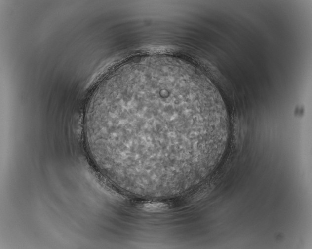 X0000114540357200911091138