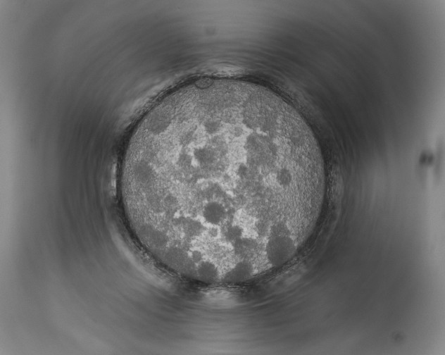 X0000114540358200911091138