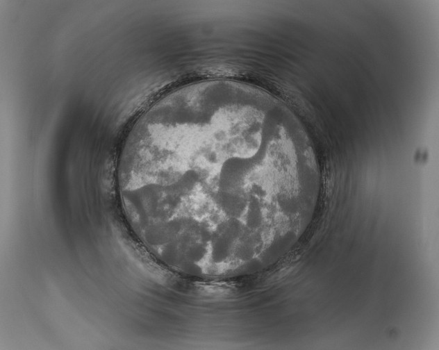 X0000114540359200911091138