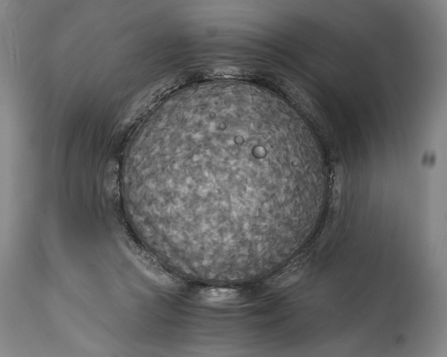 X0000114540361200911091138