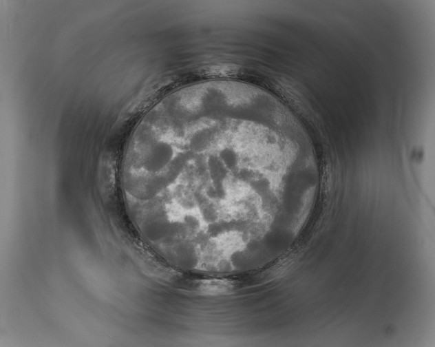 X0000114540363200911091138