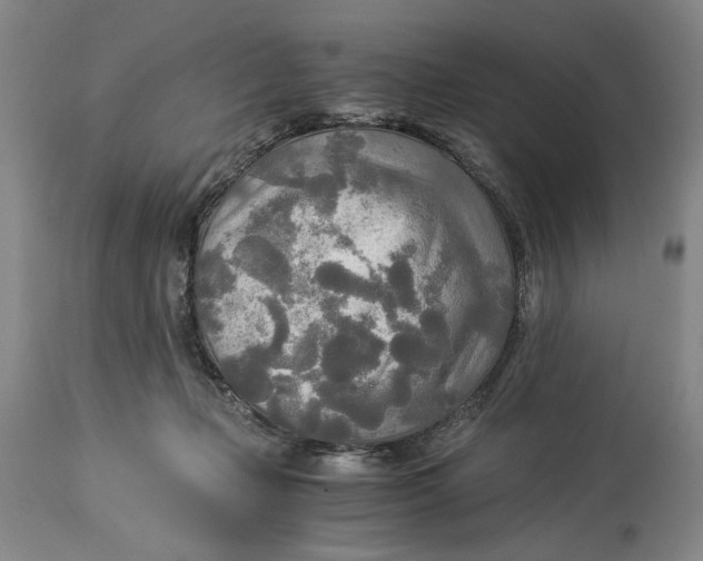 X0000114540365200911091138